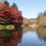 マジカメンテ ビバッコ - 雲場池　綺麗ですねぇ～