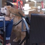 マジカメンテ ビバッコ - 疲れたよ～