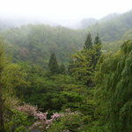心のふるさと橋倉 - 部屋からの景色