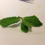 プリマベーラ - 