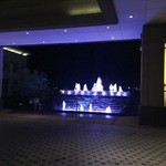 Radisson Blu - ホテルのエントランスには噴水が青くライトアップされて幻想的な雰囲気です