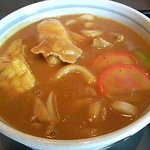 若鯱家 - カレー饂飩のアップ