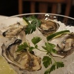 オーストラリアのコフィンベイオイスター、ニュージーランドのマフランギプレミアムオイスター