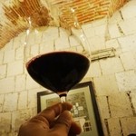 PaLaDaR 1900 - ALTO LAS HORMIGAS RESERVA Malbec