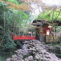 うかい鳥山 - 