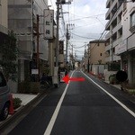 紅梅 - 2015 紅梅 ここだよー(^-^)/