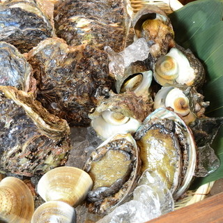 鮮魚（貝）はお造り・焼き・天ぷらでどうぞ。