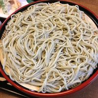 そば会席 立会川 吉田家 - 天せいろ（大海老1本・野菜）