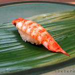 藪sou鮨・旬の魚 - 車海老