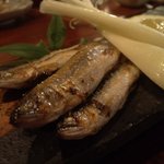 おもろ - 稚アユ・・。