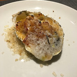 オッジ ダルマット - 