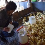 鴨一ワイン酒場 SUN - あいち鴨のひなたちです。