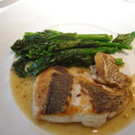 コート ドール - 真鯛と菜の花