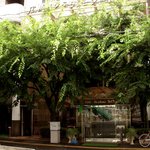 四季彩 - 
