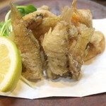 Robatayaki Shiro - ネブト