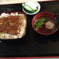 満寿家 - 名物「うなぎランチ」