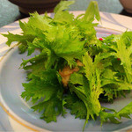 友家ホテル - 牡蠣サラダ