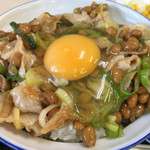 鶴巣パーキングエリア（上り線） スナックコーナー - 《鶴巣スタミナ丼》650円
            2015/11/27