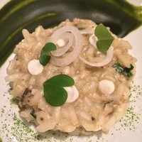 ポンテ デル ピアット - 牡蠣のリゾット