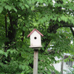 カフェ・ル・プティ・ニ・トロワ - 