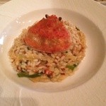 iL bosco - 料理写真:2015年版 越前セイコガニのリゾット(福井産カルナローリ使用)