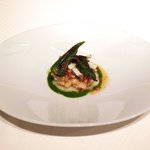 ジョンティ アッシュ - ランチコース 5110円 の北海道産雲子のムニエル 京蕪のエクラゼと黄柚子を香らせたサラダ 焦がしバターのソースと共に