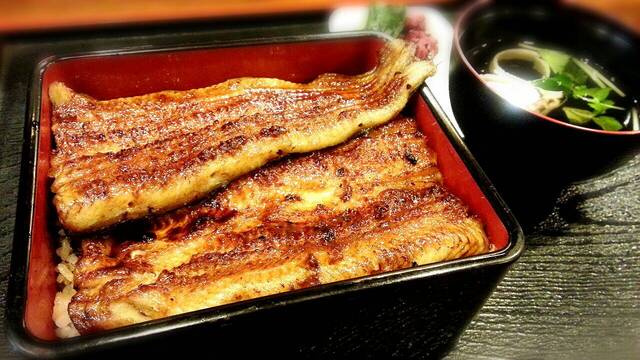 Unagi Ogawa Abiko ten, Abiko, Japan