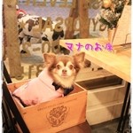 MEAT MARKET - 入口入ってすぐの2テーブルはペット同伴OK！