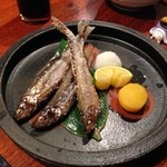 和彩弥 嶋川 - H.27.11.28.夜 北海道生本ししゃも塩焼 1,300円税別