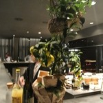 フロリレージュ - カクテル３−４