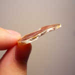 キュルノンチュエ - この白い部分が、カマンベールチーズと同様の胞子。独特な旨味を生み出します