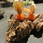 フロリレージュ - 鬼灯