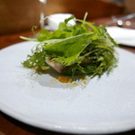 アカ - 2015.9月①