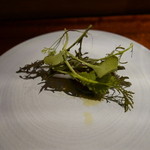 アカ - 2015.9月②