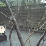 円らく 所沢荘 - 店内から外の眺め