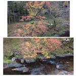 美山荘 - 紅葉が例年よりも早かったらしく、名残だったのが残念ですね。
      それでもキレイですけれど・・^^