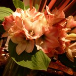 バー倶楽部 松円 - 毎週、季節のお花を生けております。