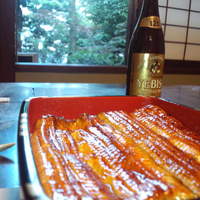 明神下 神田川 本店 - ウナギとビールと緑