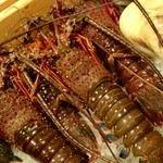 鮨処 竜敏 - 小伊勢海老