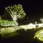Sutabakku Sukohi - 冬季限定白色LEDのライトアップが美しい武雄市図書館家族連れも多い