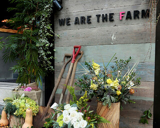 WE ARE THE FARM - 