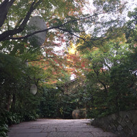 THE SODOH HIGASHIYAMA KYOTO - 入り口を入るともう別空間！