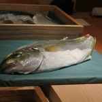 寿しの吉乃 - 天然のシマアジ