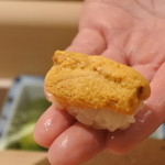 寿しの吉乃 - 函館生ウニ