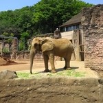 多摩動物公園アフリカ園休憩所 - 