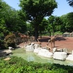多摩動物公園アフリカ園休憩所 - 