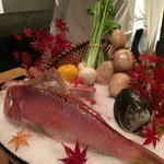 銀座 kappou ukai - 本日の食材たち