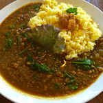 Naish Surf American - 挽肉とほうれん草カリー