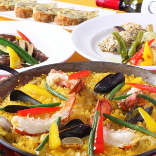 コシーナウチダ_2