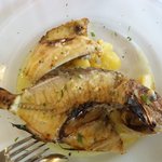 SAKURAGUMI - 魚料理